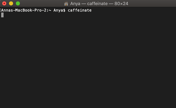 Terminal window with command: caffeinate 