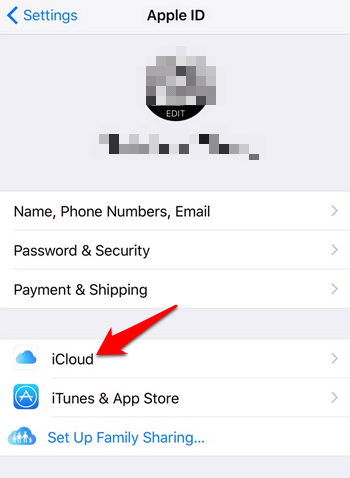 iCloud menu in Settings 