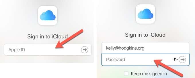 Apple ID and Password fields in iCloud 