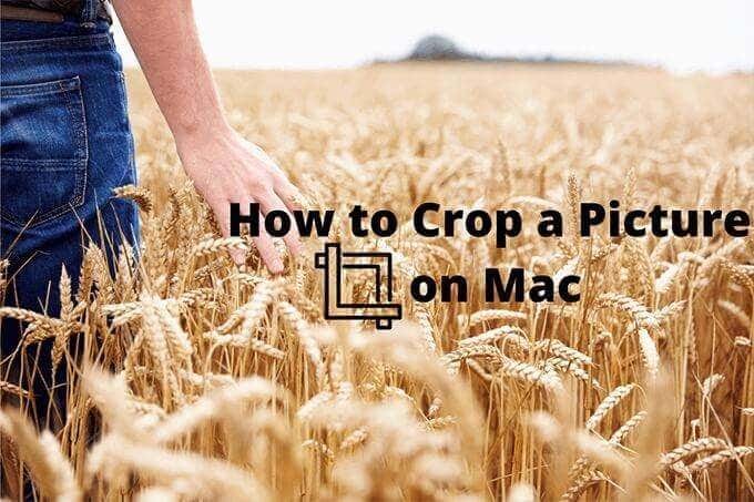 How to Crop a Picture on Mac