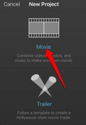 Movie option in New Project