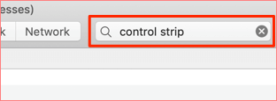 control strip in search bar