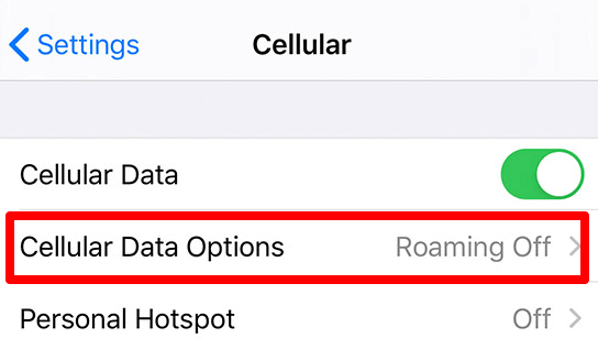 Settings > Cellular > Cellular Data Options 