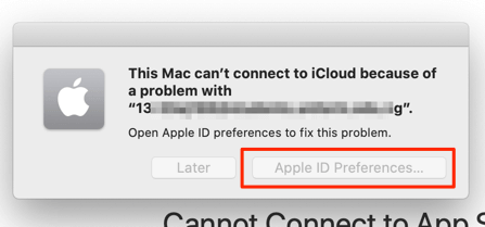 Apple ID Preferences button 