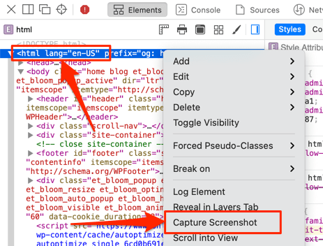 Right-click menu with Capture Screenshot 