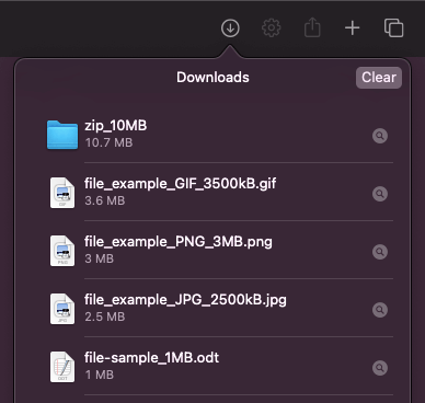 Show Downloads with Clear button 