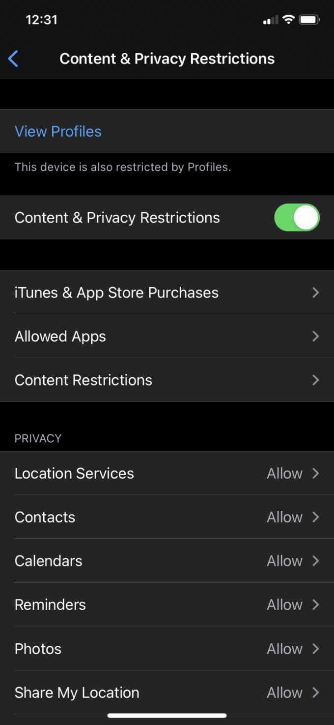 Content & Privacy Restrictions