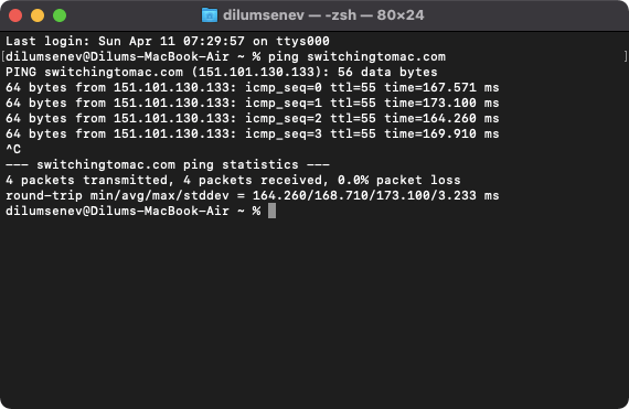 ping command in Terminal 