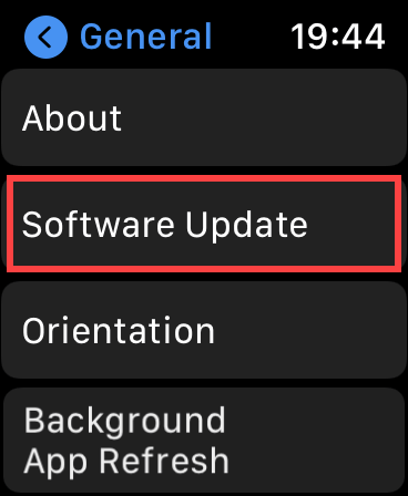 General > Software Update on Watch 