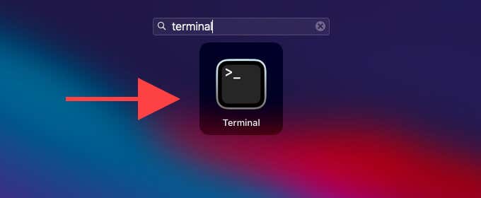 Terminal in Search Bar