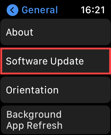 Software Update in General 