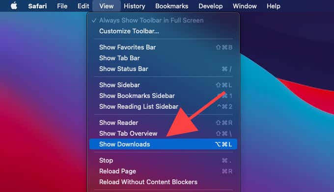 Show Downloads in View menu 