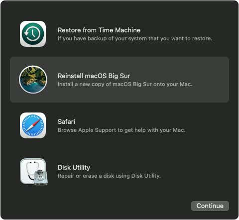 Reinstall macOS Big Sur option