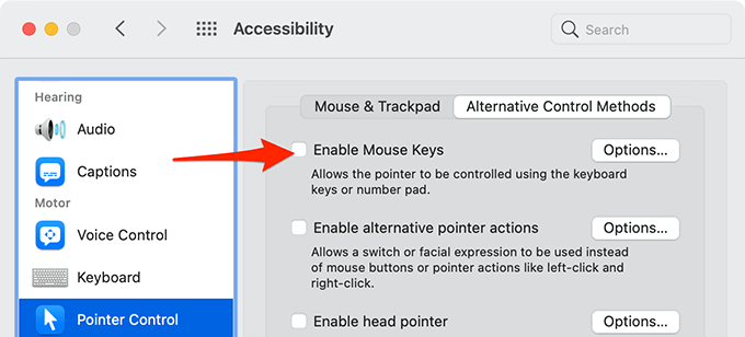 Enable Mouse Keys option disabled 