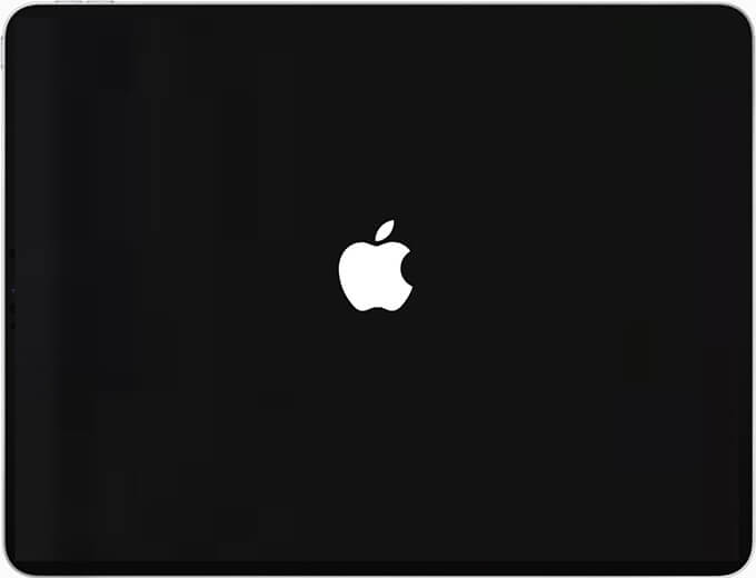 Apple startup logo