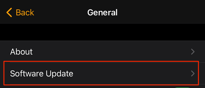 General > Software Update on iPhone