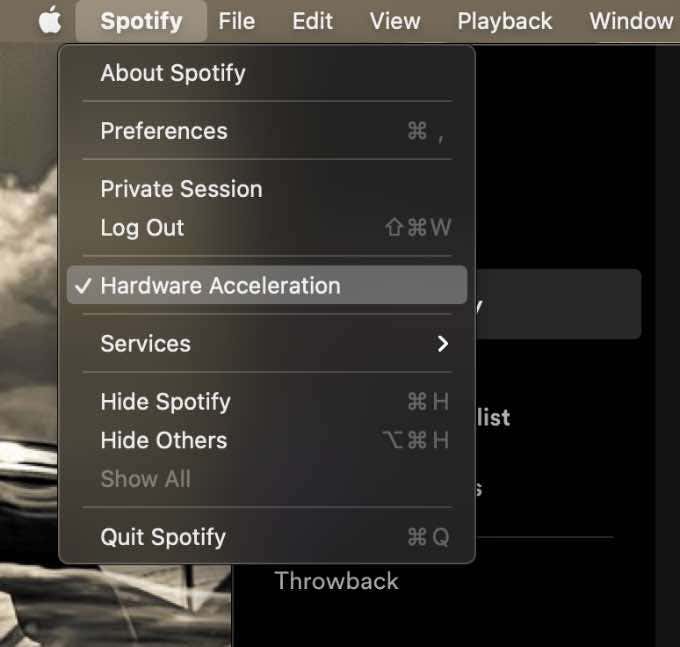 Spotify > Hardware Acceleration 
