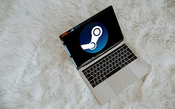 Steam Game Won't Launch? 13 Fixes to Start Gaming Again