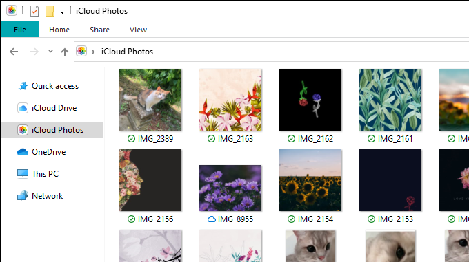 iCloud Photos 