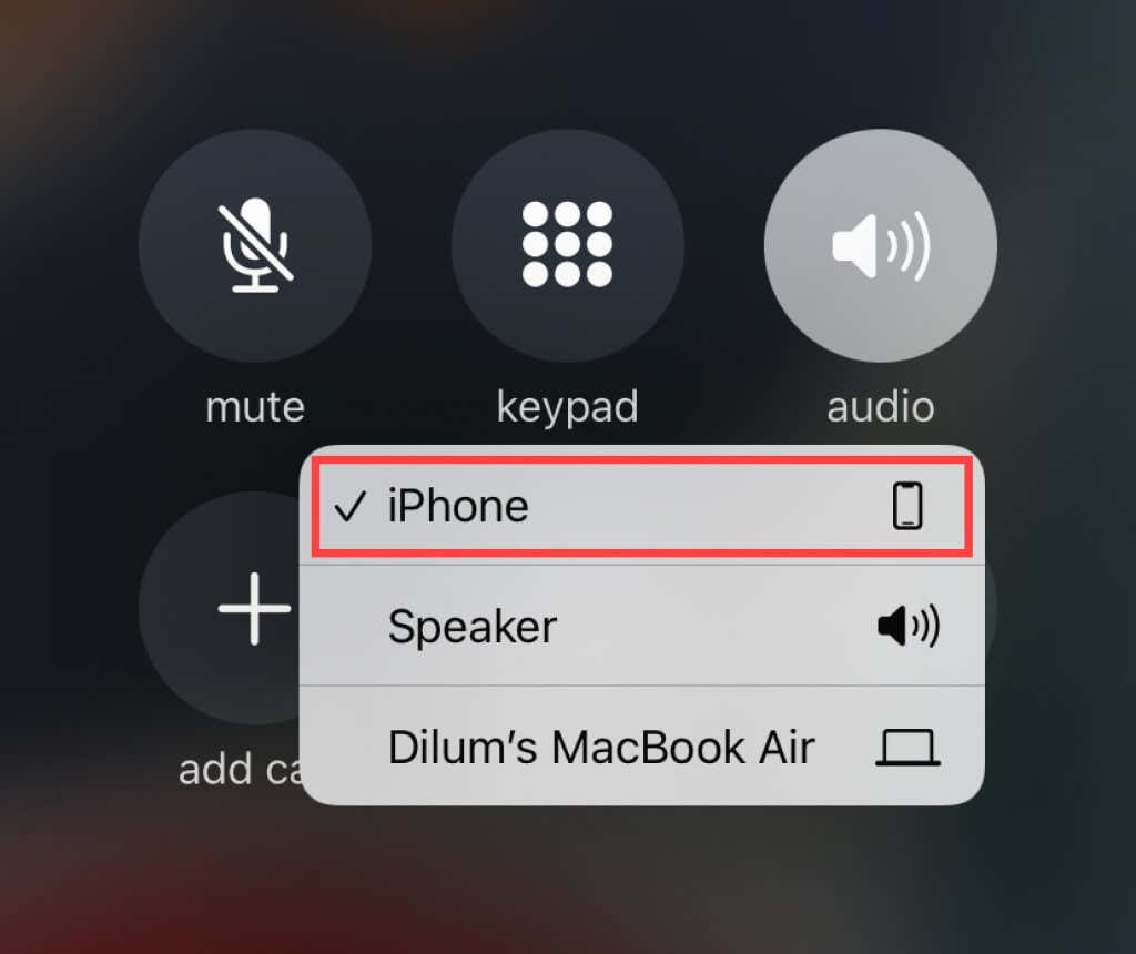 iPhone selected in Audio menu 