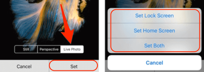 Live Photo and Set Lock Screen, Home Screen, and Both options