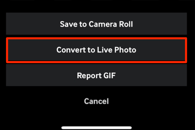 Convert to Live Photo option 