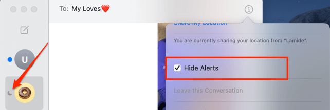 Hide Alerts checkbox and half-moon icon 
