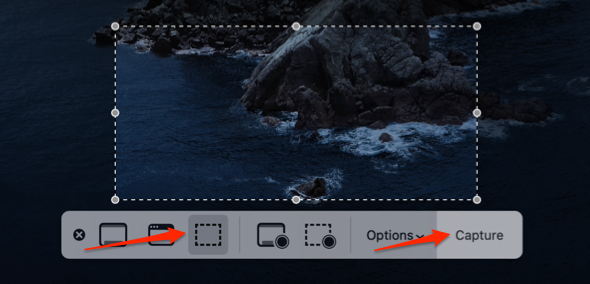 Capture Selected Portion option and Capture button 