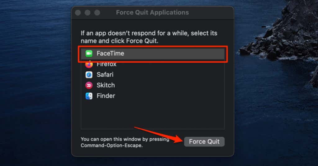 FaceTime selected in Force Quit Applications