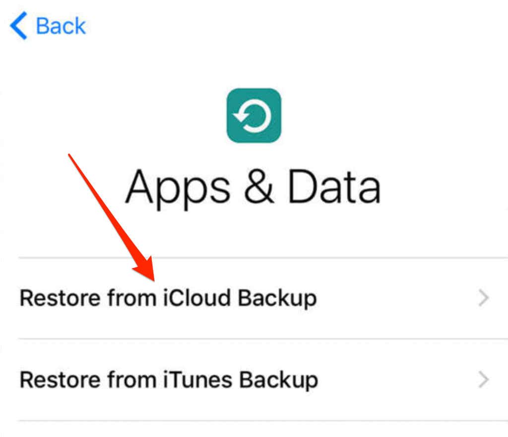 Restore from iCloud Backup 