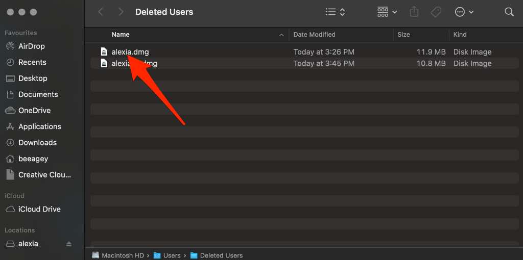 Deleted user dmg file