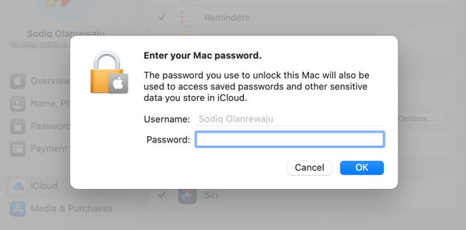Unlock Mac password screen 