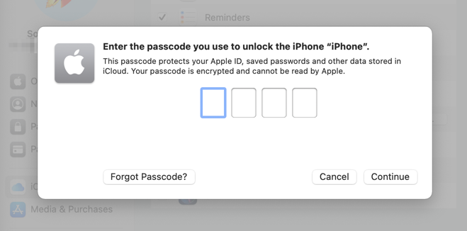 Enter passcode screen 