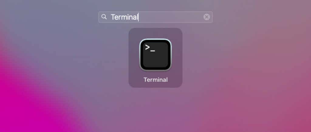 Terminal in search bar