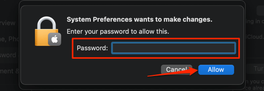 Password filed and Allow button 