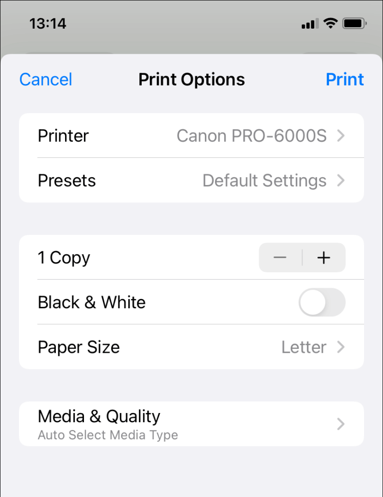 Print Options window