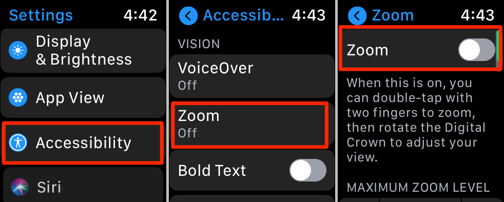 Accessibility > Zoom > Zoom toggled to on 