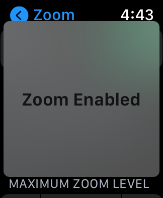 "Zoom Enabled" notification 