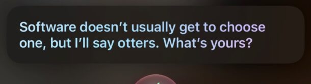 14 Things You Should Never Ask Siri