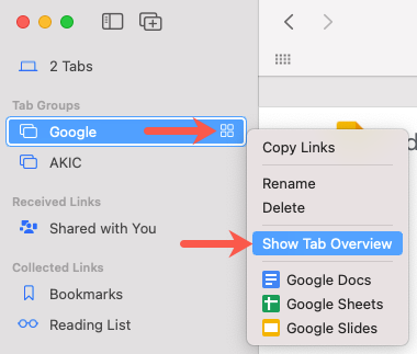 Google > Show Tab Overview