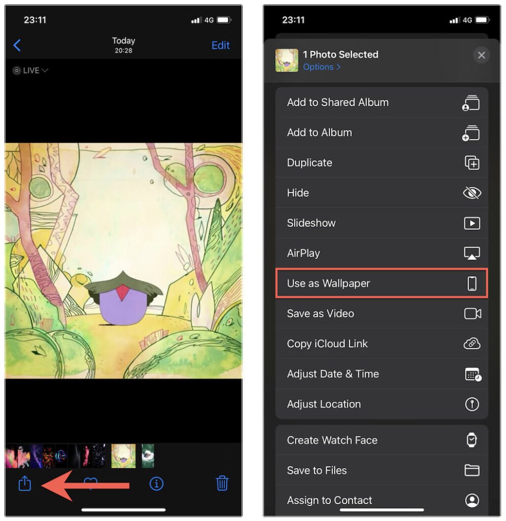 Share icon > Use as Wallpaper