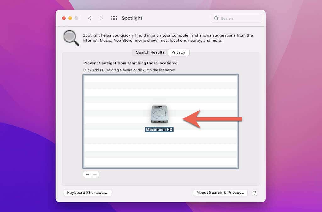Macintosh HD dragged into Privacy tab