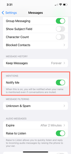 Settings > Messages > Mentions > Notify Me toggled on