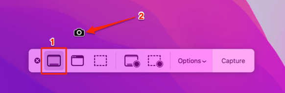 Capture Entire Screen option and cursor becomes camera