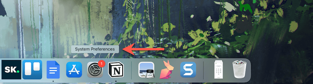 System Preferences in Dock