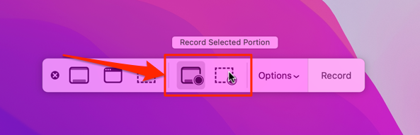 Record Entire Screen or Record Selected Portion 