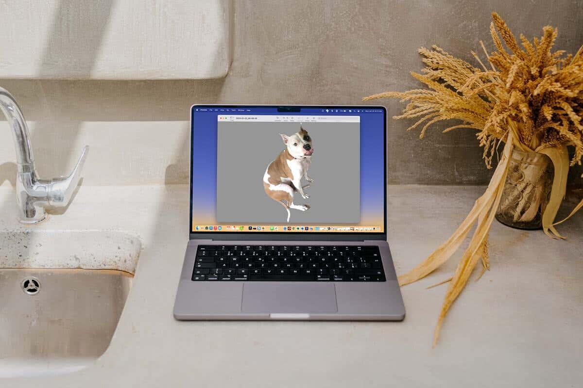 3 Ways to Remove the Background From an Image on Mac image 1
