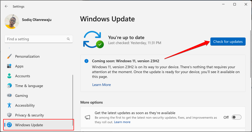 Windows Update page in Windows 11