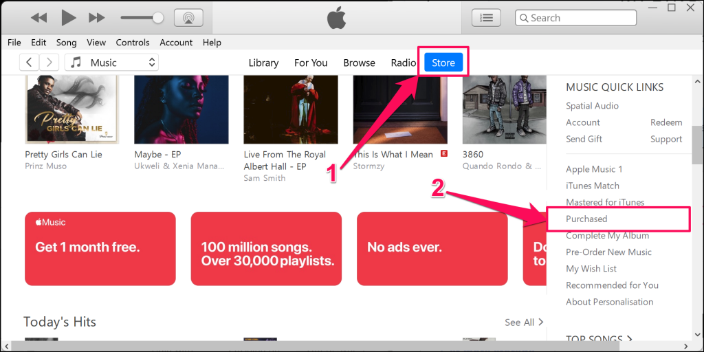 iTunes Store on Windows PC