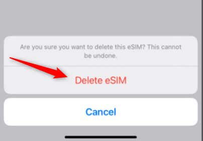 Final confirmation to delete eSIM on iPhone